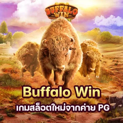 เกม Buffalo Win เกมสล็อตใหม่จากค่าย PG